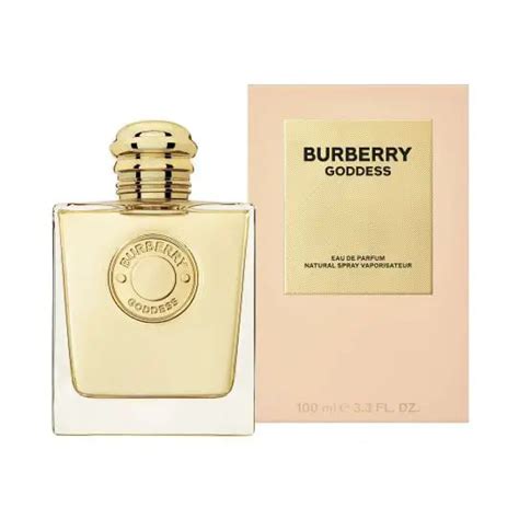 burberry kleidung herren|burberry goddess for women.